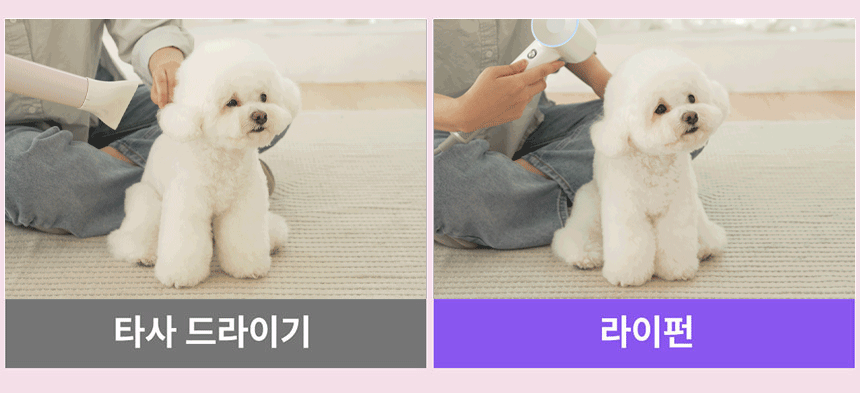 95ed7e9c8364b887f8ed86cb3fcff2d7_1737089034_336.gif